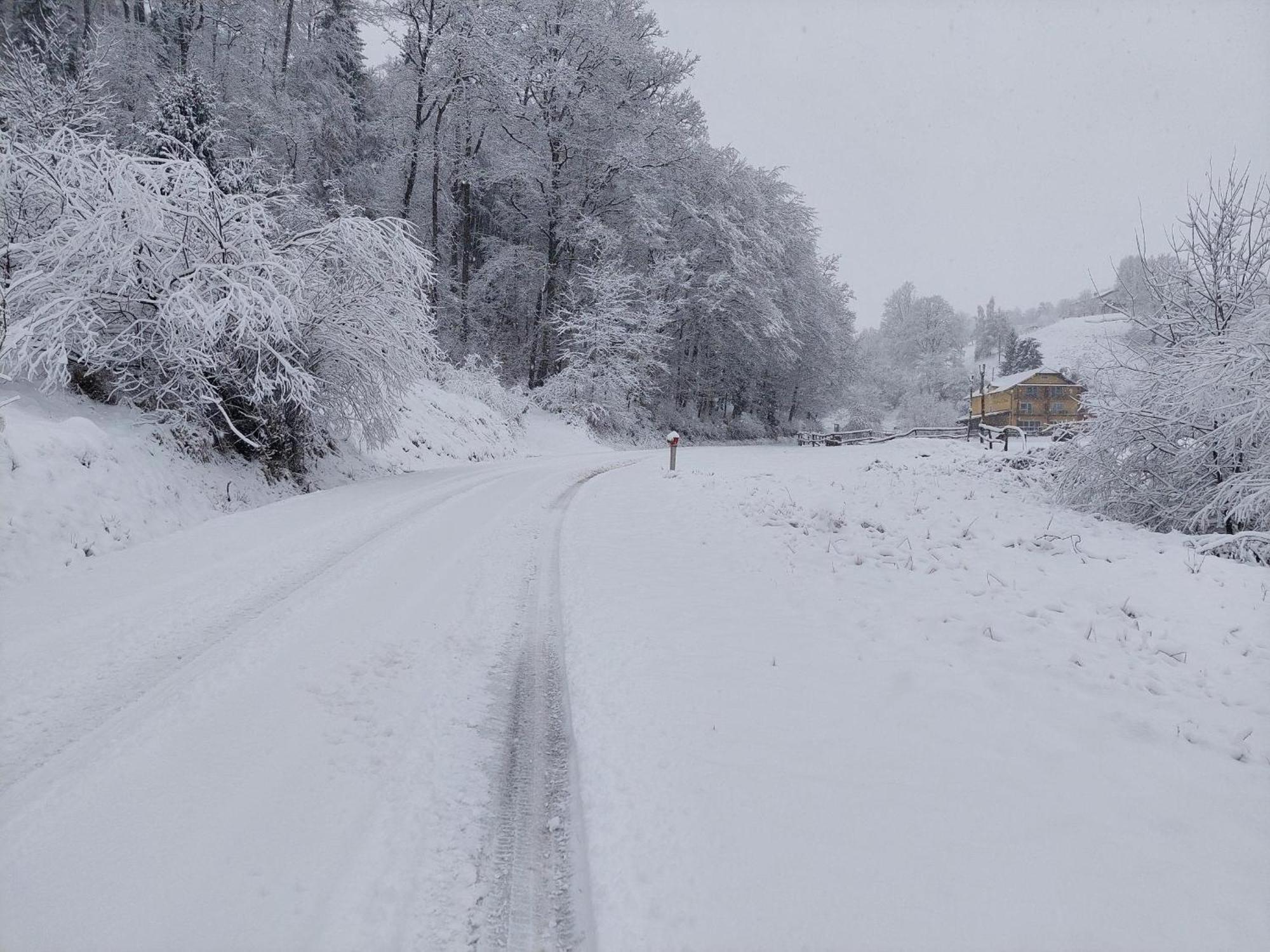 Zelena Oaza Zgornja Kungota Exterior foto