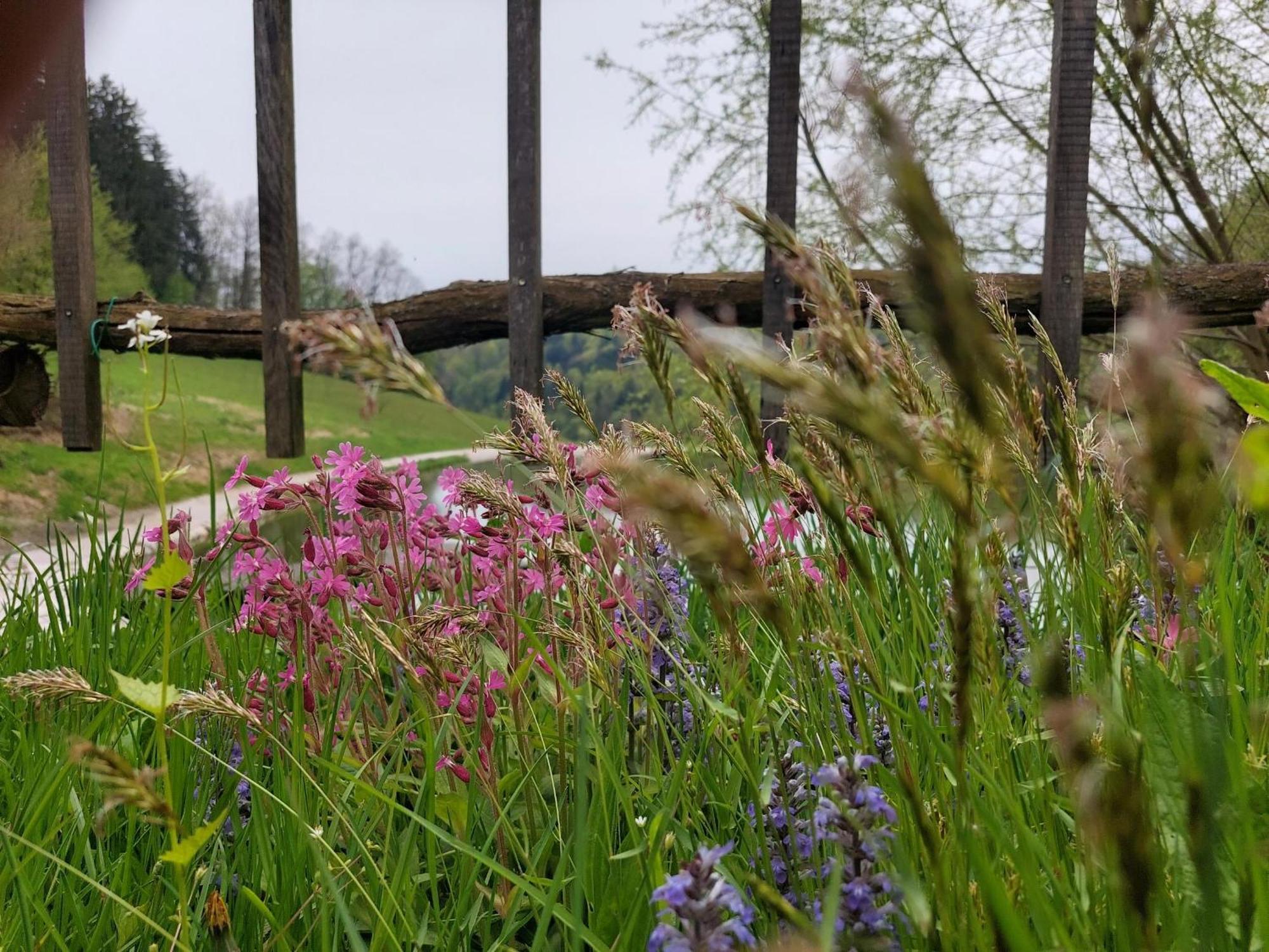 Zelena Oaza Zgornja Kungota Exterior foto