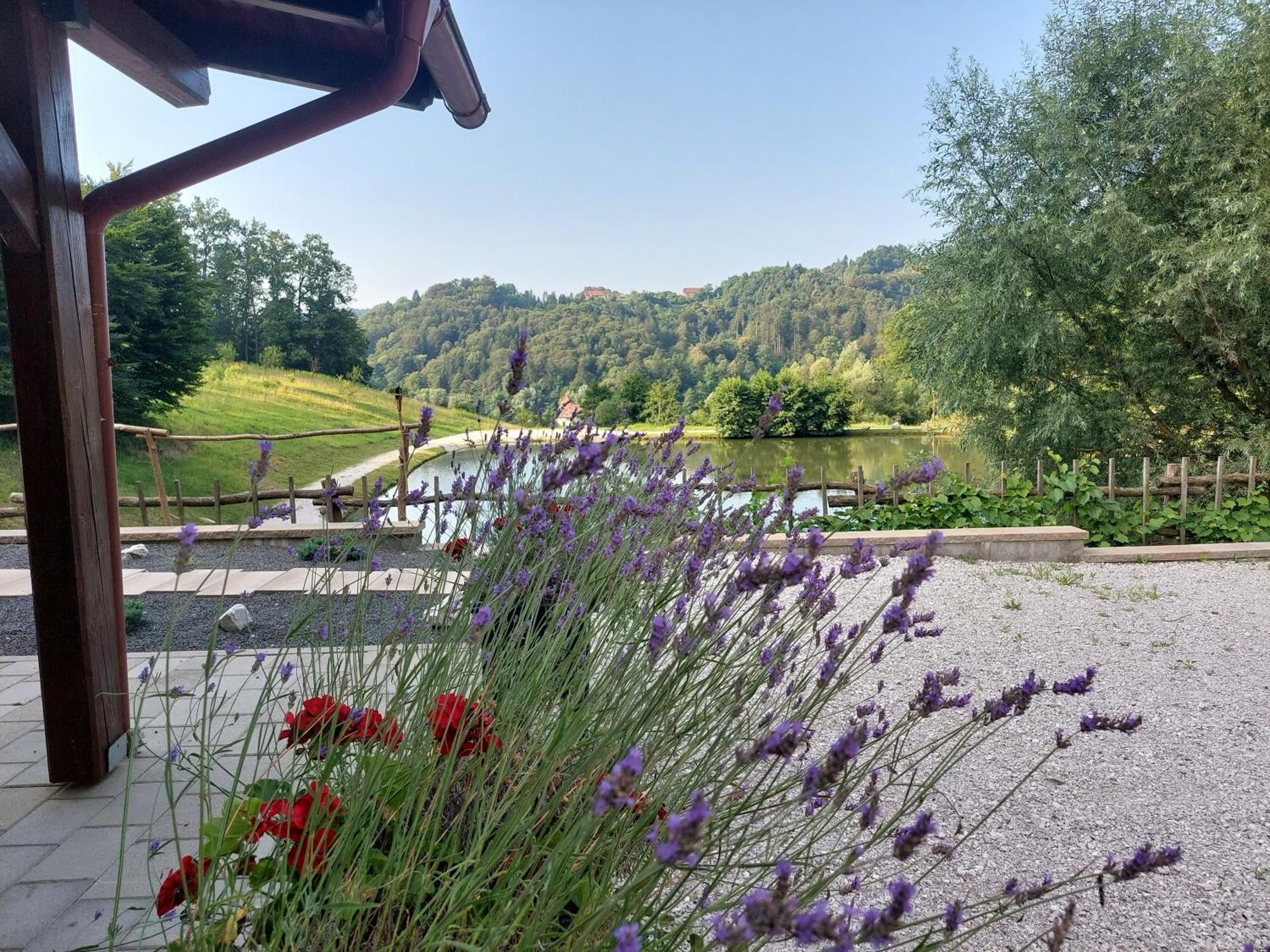 Zelena Oaza Zgornja Kungota Exterior foto